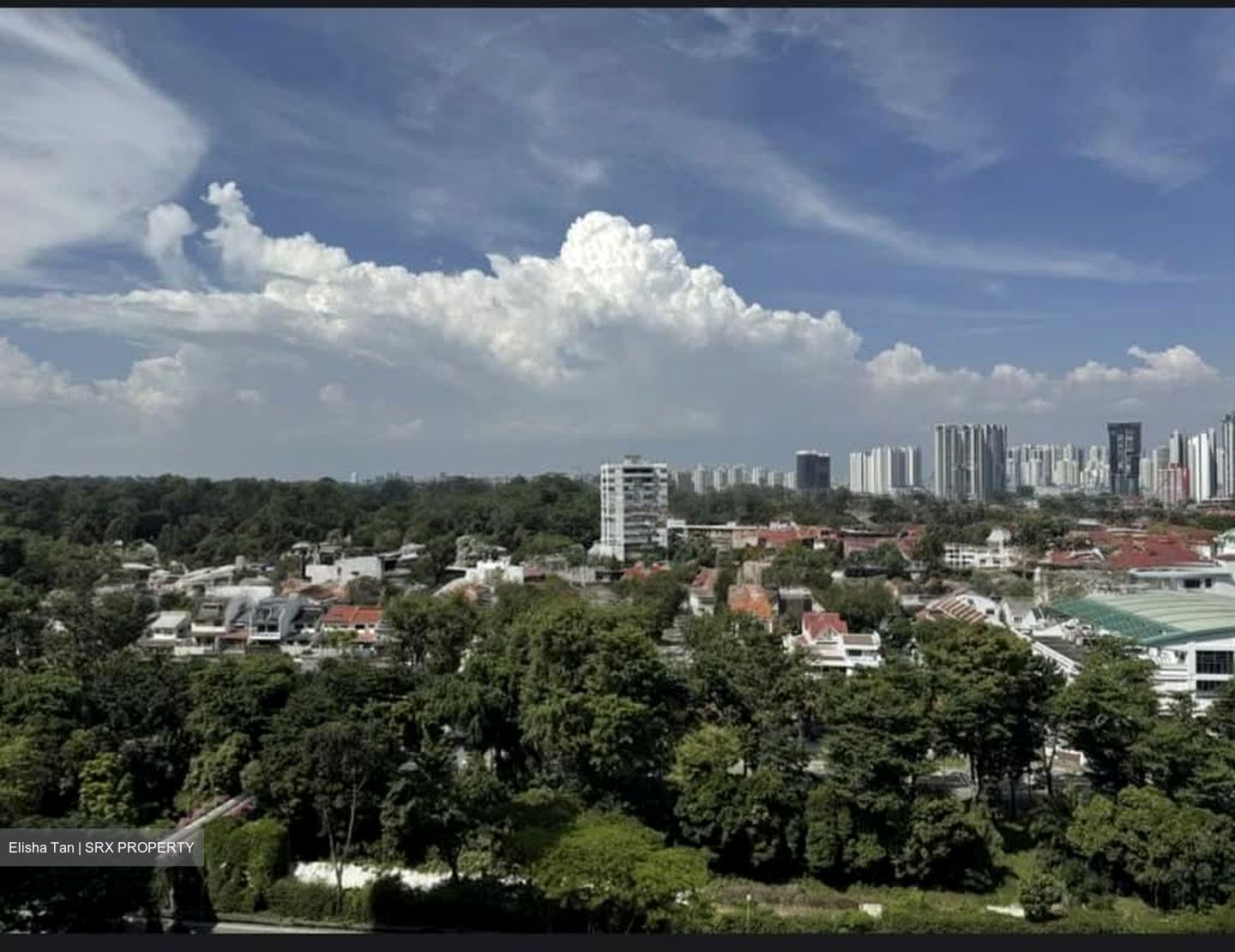 Perfect Ten (D10), Apartment #540634621